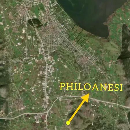 Philoanesi Apartment Neokesaria Екстериор снимка